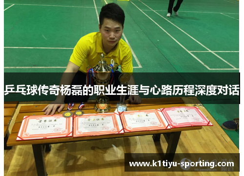 乒乓球传奇杨磊的职业生涯与心路历程深度对话